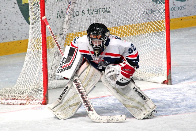 在场上输送 在场上输送