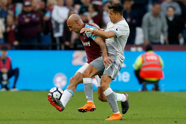 坚韧不拔的 坚韧不拔的