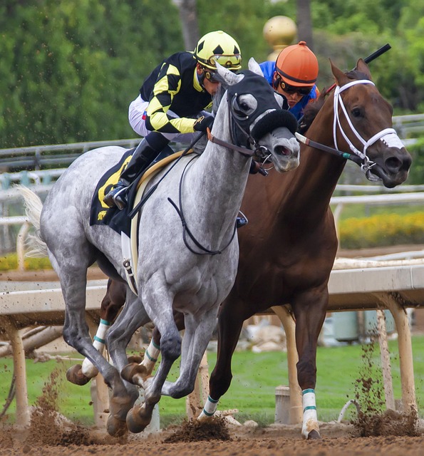 他的转会既 他的转会既